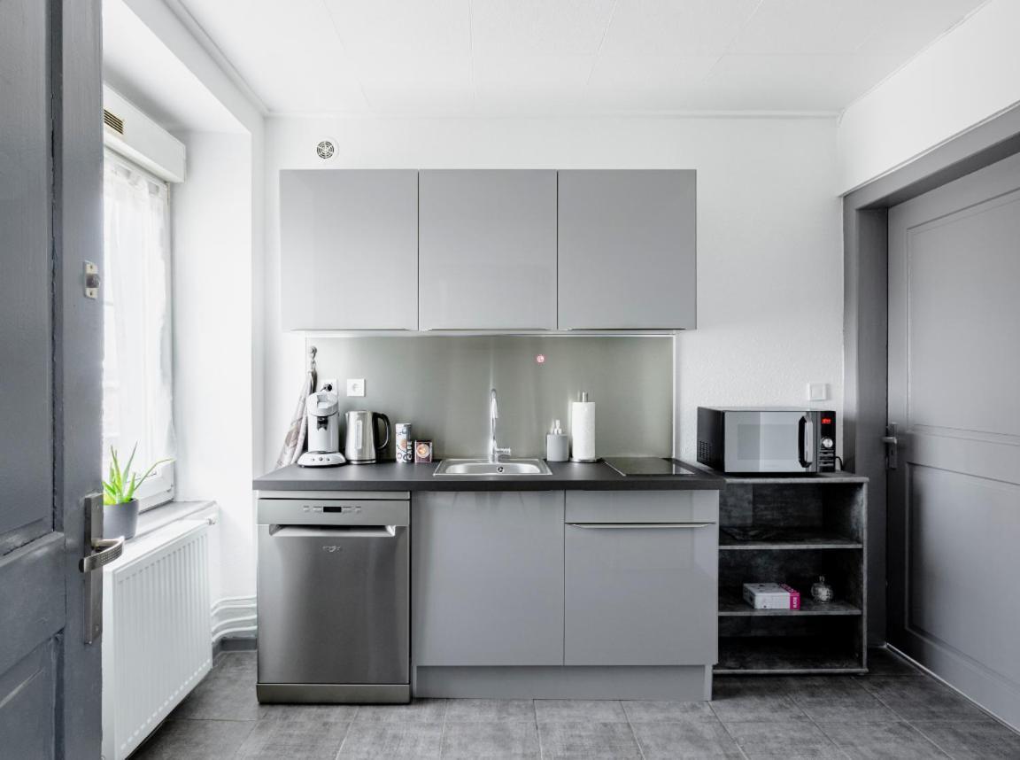 Myhome Basel 1B44 Saint-Louis  Eksteriør billede